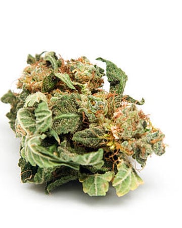 Lemon OG Kush - Image 5