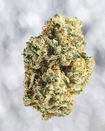 Lucky Charms - Image 5