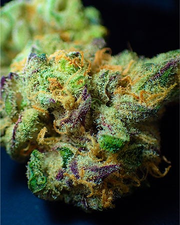 Purple Trainwreck - Image 5
