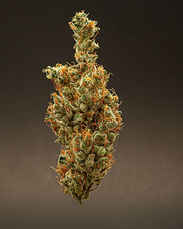 Agent Orange Auto - Image 5