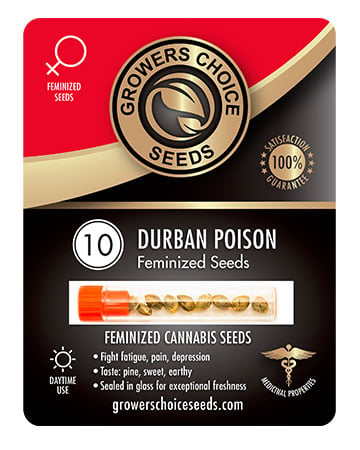 USA Premium Combo - Image 3