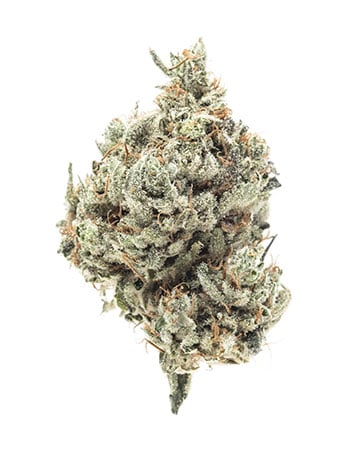 XXX OG - Image 5